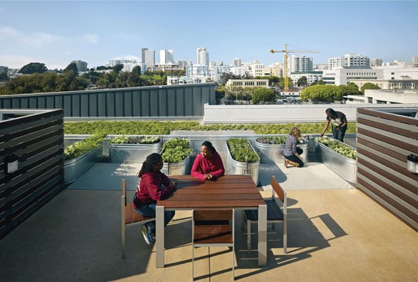 ASLA's 2012 Best Residential Landscapes
Garden Design
Calimesa, CA