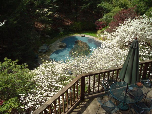Author Rosemary Harris's Connecticut garden
Garden Design
Calimesa, CA