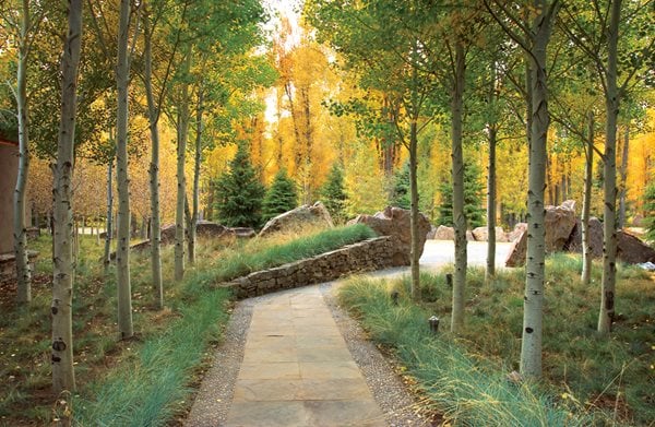 Award-Winning Gardens
Design Workshop, Inc
Denver, CO