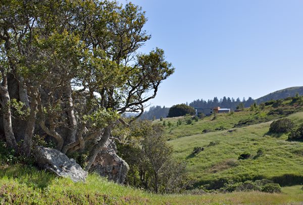 Bernard Trainor — Marin County, California
Garden Design
Calimesa, CA