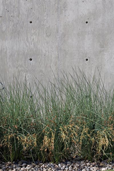 Bernard Trainor — Marin County, California
Garden Design
Calimesa, CA