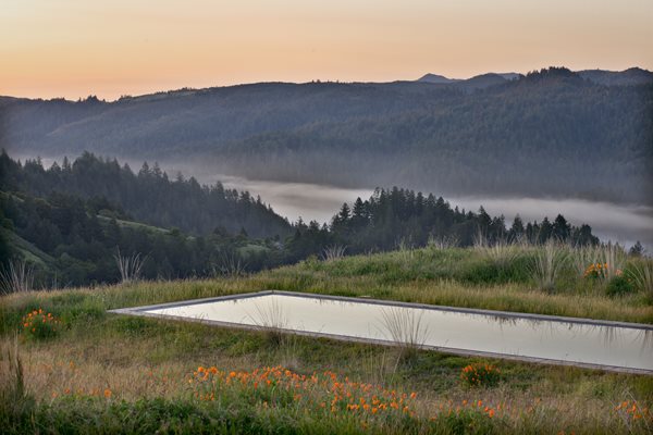 Bernard Trainor Marin County, Landscape Design Marin County