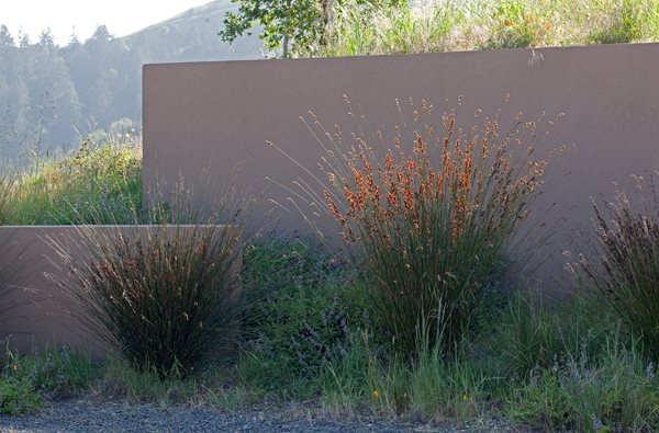 Bernard Trainor — Marin County, California
Garden Design
Calimesa, CA