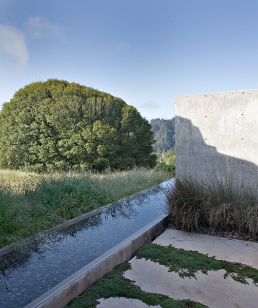 Bernard Trainor — Marin County, California
Garden Design
Calimesa, CA