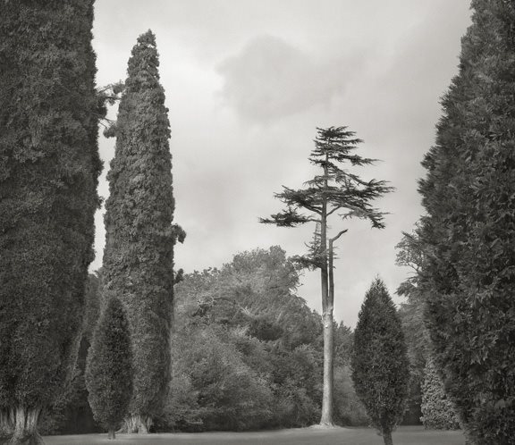 Beth Dow's Photographs In the Garden
Garden Design
Calimesa, CA