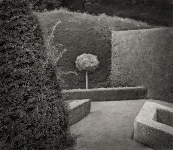 Beth Dow's Photographs In the Garden
Garden Design
Calimesa, CA