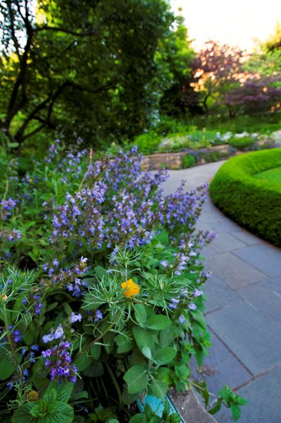 Brooklyn Botanic Garden's 100th Anniversary
Garden Design
Calimesa, CA