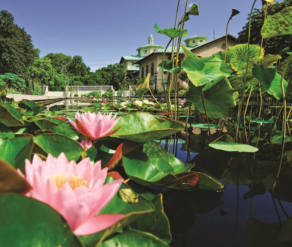 Brooklyn Botanic Garden's 100th Anniversary
Garden Design
Calimesa, CA