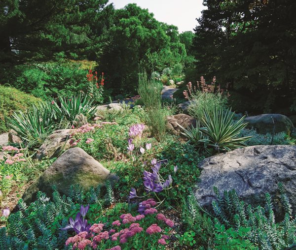 Brooklyn Botanic Garden's 100th Anniversary
Garden Design
Calimesa, CA