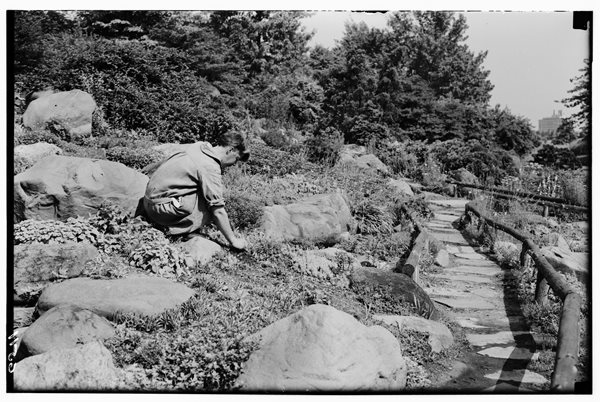 Brooklyn Botanic Garden's 100th Anniversary
Garden Design
Calimesa, CA