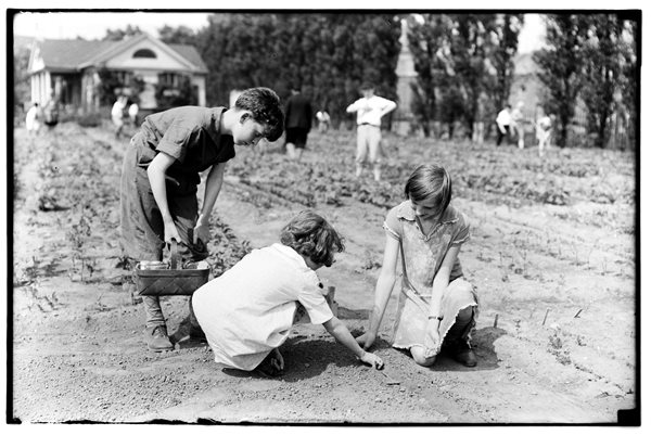 Brooklyn Botanic Garden's 100th Anniversary
Garden Design
Calimesa, CA