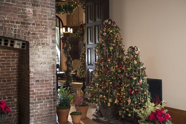 Celebrate the Nature of Christmas at Biltmore
Garden Design
Calimesa, CA
