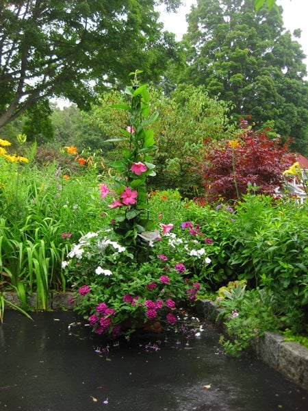 Color in Massachusetts
Garden Design
Calimesa, CA