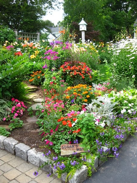 Color in Massachusetts - Gallery | Garden Design