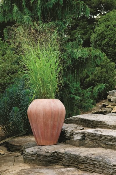 Container Garden Pictures
Cheekwood Botanical Garden and Museum of Art
Nashville, TN