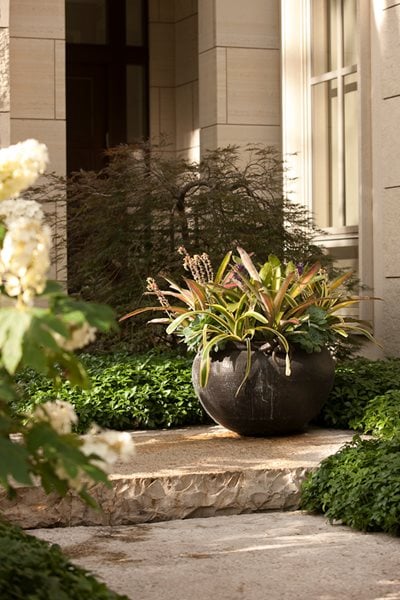 Container Garden Pictures
Hoerr Schaudt
Chicago, IL
