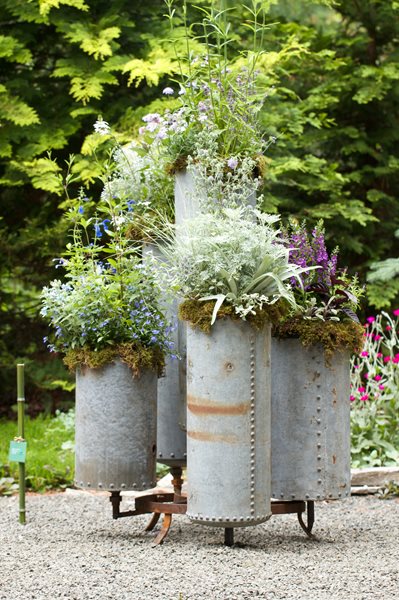 Container Garden Pictures
Kate McCarty Organic Landscapes
Amagansett, NY