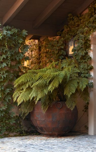 Container Garden Pictures
Thomas Hobbs
Vancouver, BC