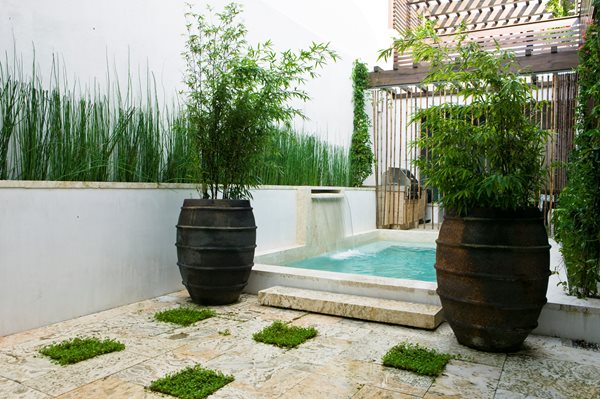 Container Garden Pictures
Troy Rhone Garden Design
Mountain Brook, AL