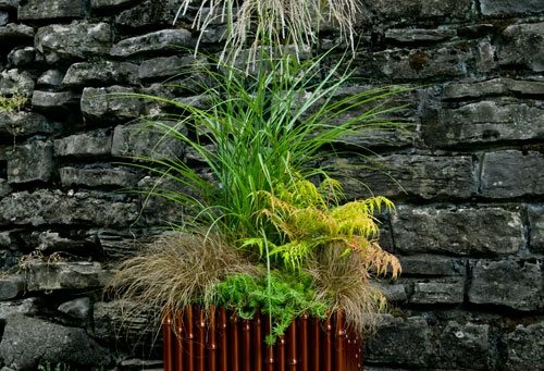 Container Grasses at Cheekwood
Garden Design
Calimesa, CA