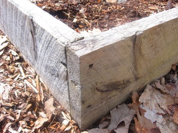 Creating a Raised Bed Garden
Garden Design
Calimesa, CA