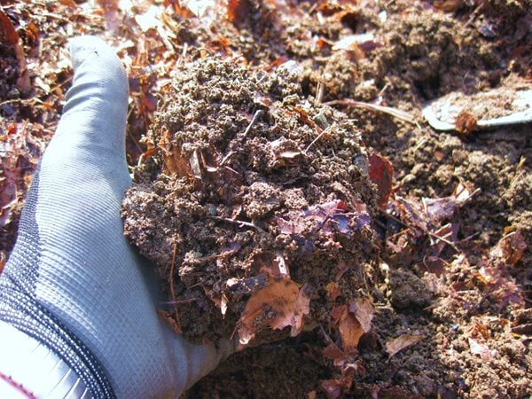 Creating a Raised Bed Garden
Garden Design
Calimesa, CA