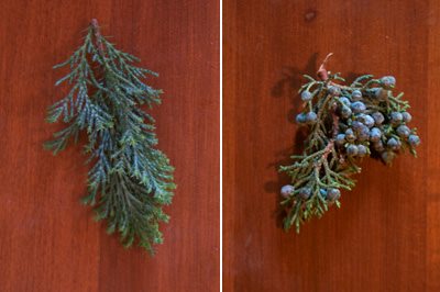 D.I.Y. Wreath Centerpiece
Garden Design
Calimesa, CA