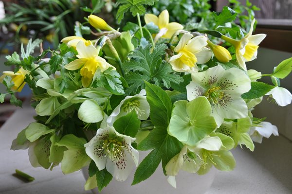 Decorating With Herbs
Garden Design
Calimesa, CA