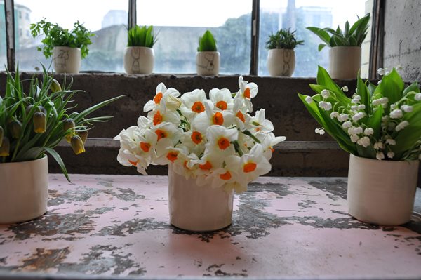 Decorating With Herbs
Garden Design
Calimesa, CA