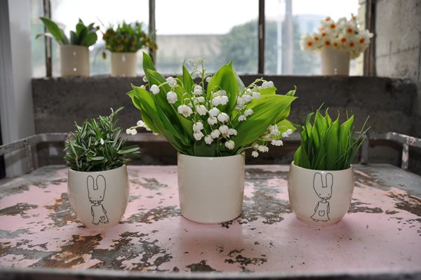 Decorating With Herbs
Garden Design
Calimesa, CA