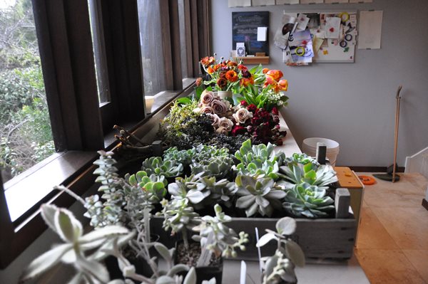Decorating With Succulents
Garden Design
Calimesa, CA