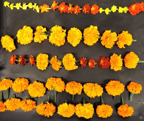 DIY Marigold Garlands
Garden Design
Calimesa, CA
