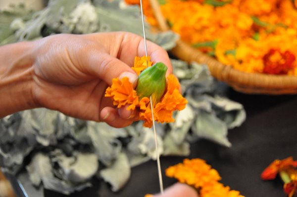 DIY Marigold Garlands
Garden Design
Calimesa, CA