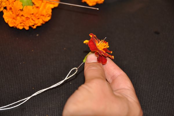 DIY Marigold Garlands
Garden Design
Calimesa, CA