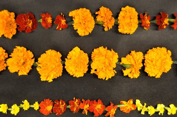 DIY Marigold Garlands
Garden Design
Calimesa, CA