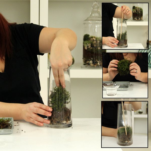DIY Moss Terrarium
Garden Design
Calimesa, CA