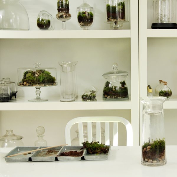 DIY Moss Terrarium
Garden Design
Calimesa, CA