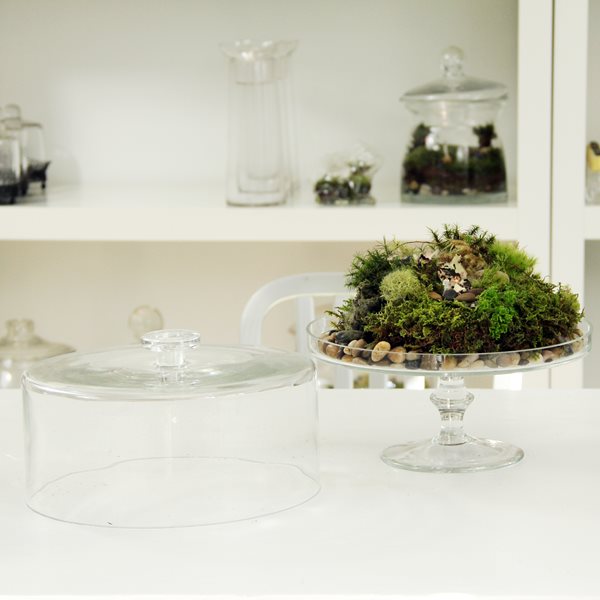 DIY Moss Terrarium
Garden Design
Calimesa, CA