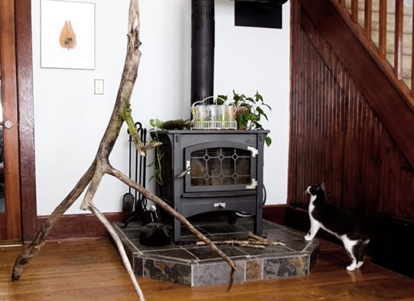 DIY Tree Lamp
Garden Design
Calimesa, CA