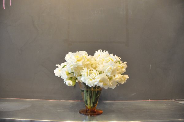 DIY Valentine's Day Posies and Arrangements
Garden Design
Calimesa, CA