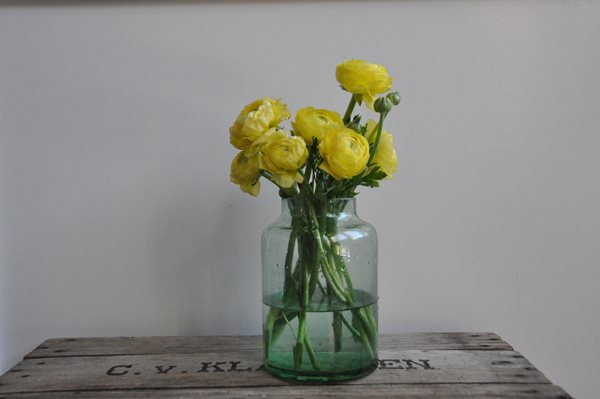 DIY Yellow Flower Arrangements
Garden Design
Calimesa, CA