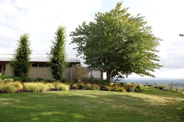 "Dream Team's" Portland Garden
Garden Design
Calimesa, CA