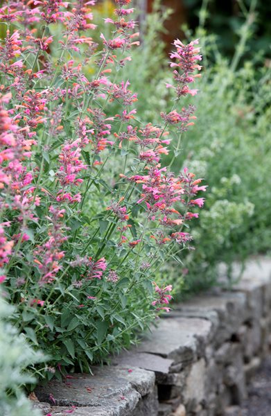 "Dream Team's" Portland Garden
Garden Design
Calimesa, CA