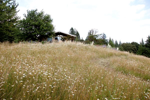 "Dream Team's" Portland Garden
Garden Diva Designs
Hillsboro, OR