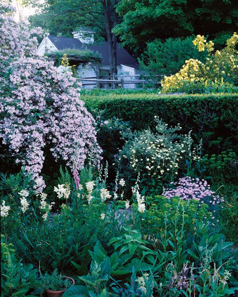 Duck Hill: Page Dickey's Garden in Upstate New York
Garden Design
Calimesa, CA