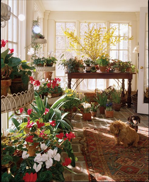 Duck Hill: Page Dickey's Garden in Upstate New York
Garden Design
Calimesa, CA