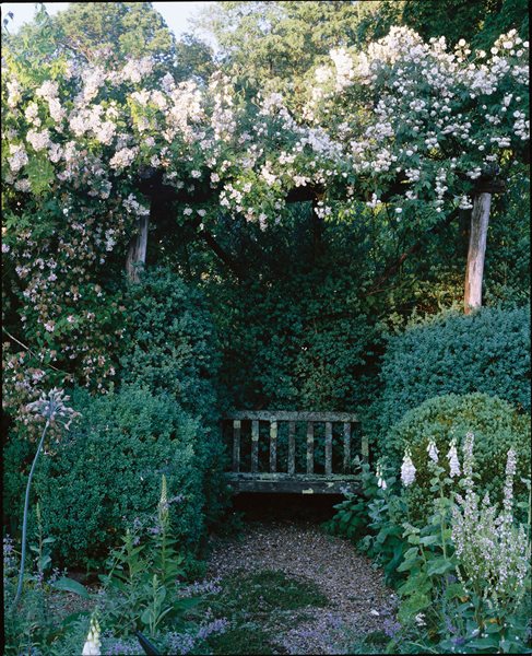 Duck Hill: Page Dickey's Garden in Upstate New York
Garden Design
Calimesa, CA