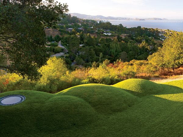 Eat, Play, Lounge
Garden Design
Calimesa, CA