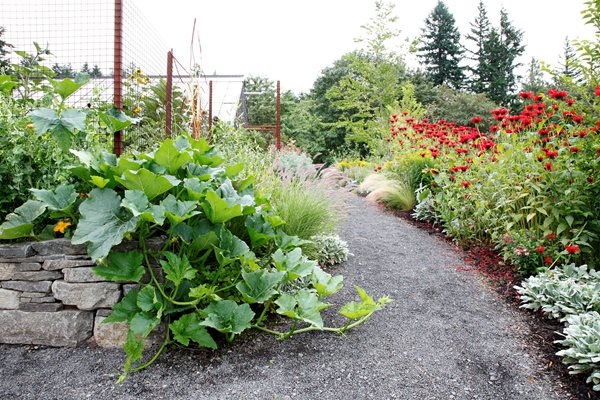 Edible Garden Pictures
Garden Diva Designs
Hillsboro, OR