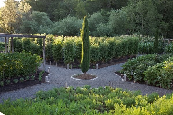 Edible Garden Pictures
MIX Garden
Healdsburg, CA